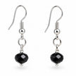 Black Monochrome Drop Earrings